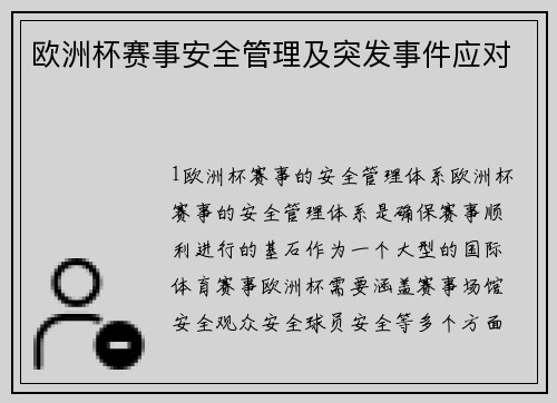 欧洲杯赛事安全管理及突发事件应对